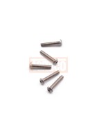Tamiya #53533 3x16mm Titan Socket Screw *5