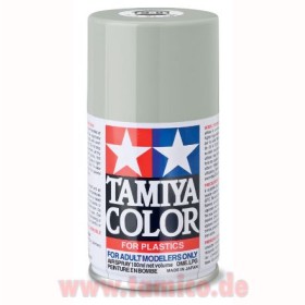 Tamiya #85081 TS-81 Royal Light Gray