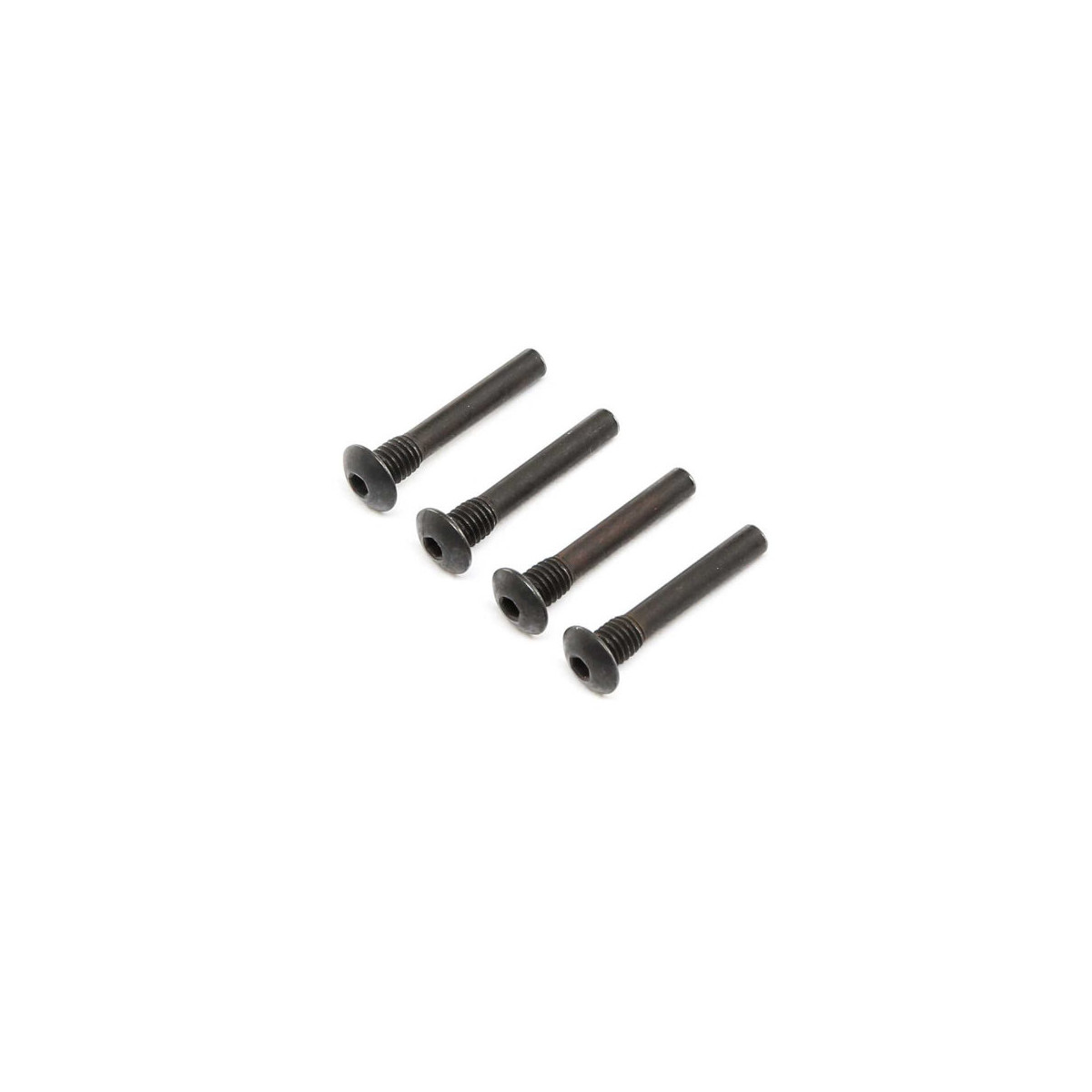 Hinge Pin Screw, Outer (4): Super Baja Rey