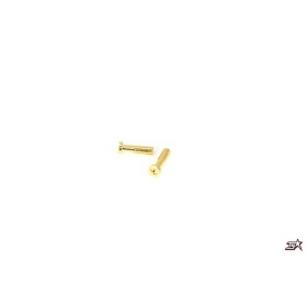 MR33 Gold Connector 4mm (2)