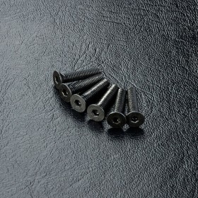 Countersunk screw M2.5X12 (6)