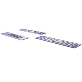 Tamico License Plate "Tamico" EUR 1:10 (2)