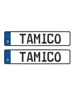 Tamico Kennzeichen "TAMICO" Deutschland EU 1:10 3D 2er Set