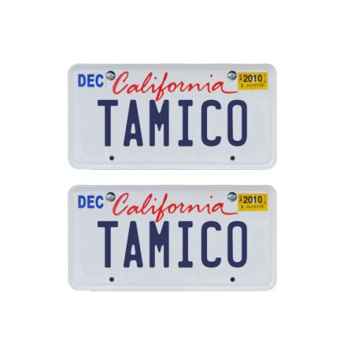 Tamico Kennzeichen TAMICO USA 1:10 3D 2er Set