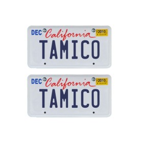 Tamico Kennzeichen "TAMICO" USA 1:10 3D 2er Set