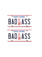 Tamico Kennzeichen "BADASS" USA 1:10 3D 2er Set New York