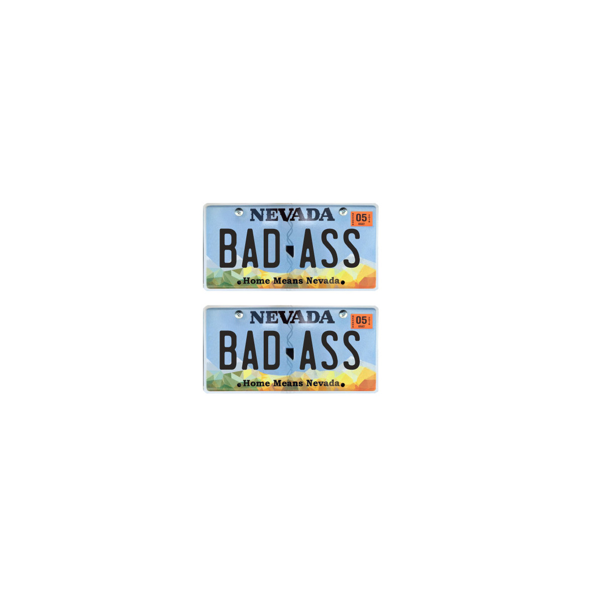 Tamico Kennzeichen "BADASS" USA 1:10 3D 2er Set...