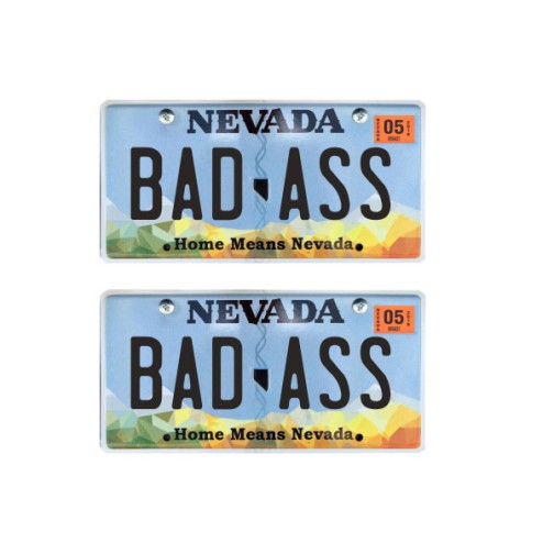 Tamico Kennzeichen "BADASS" USA 1:10 3D 2er Set Nevada