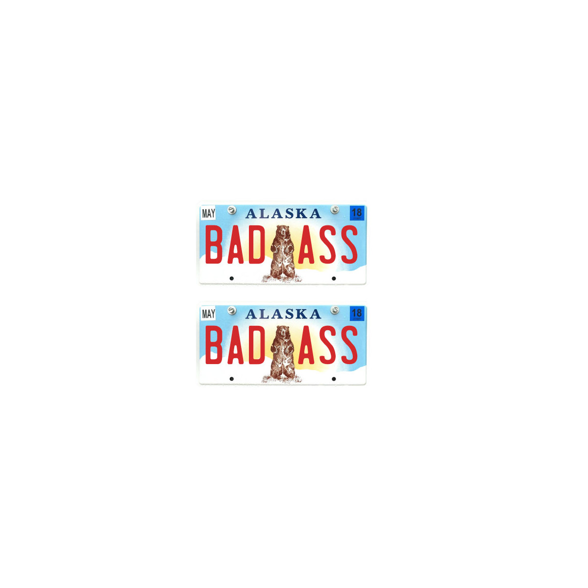 Tamico Kennzeichen "BADASS" USA 1:10 3D 2er Set...