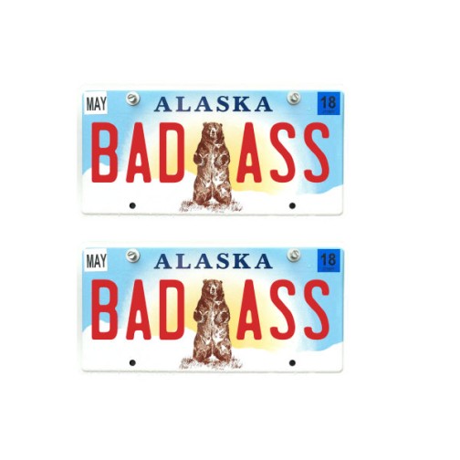 Tamico Kennzeichen "BADASS" USA 1:10 3D 2er Set Alaska 2