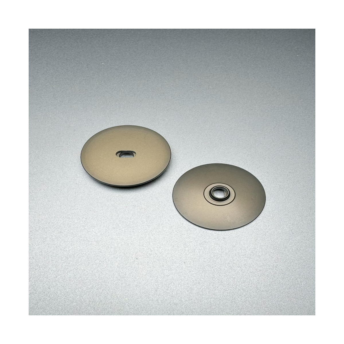 FanRC Slipper plates for RC10