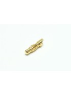 Goldkontakt-Stecker (4mm) 