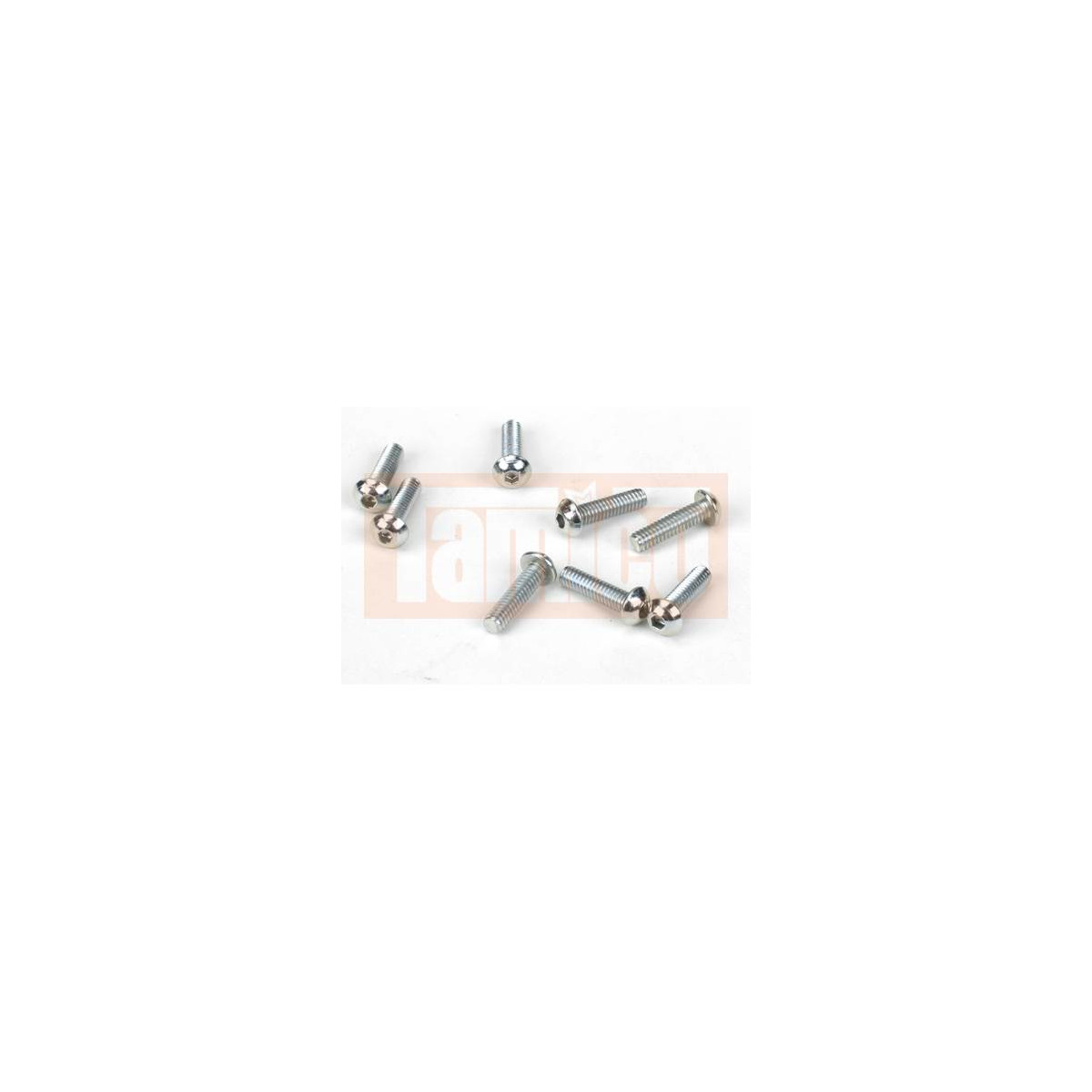 Losi 5-40 x 1/2 Rundkopfschrauben (8)